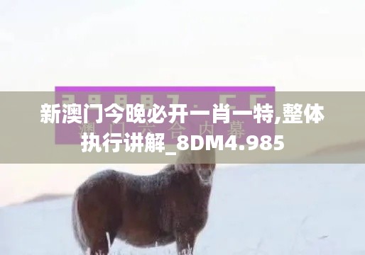 新澳门今晚必开一肖一特,整体执行讲解_8DM4.985