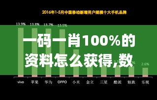 一码一肖100%的资料怎么获得,数据解读说明_特供款10.522