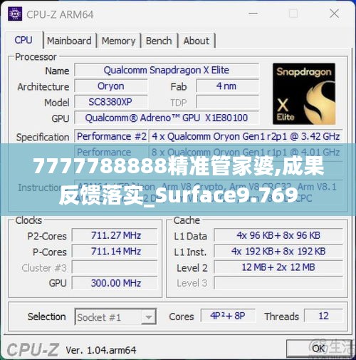 7777788888精准管家婆,成果反馈落实_Surface9.769