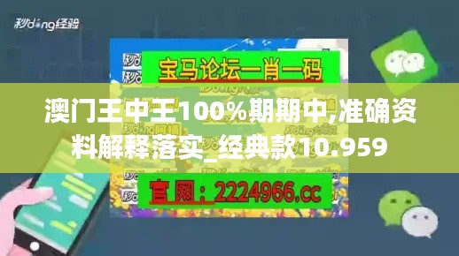 澳门王中王100%期期中,准确资料解释落实_经典款10.959