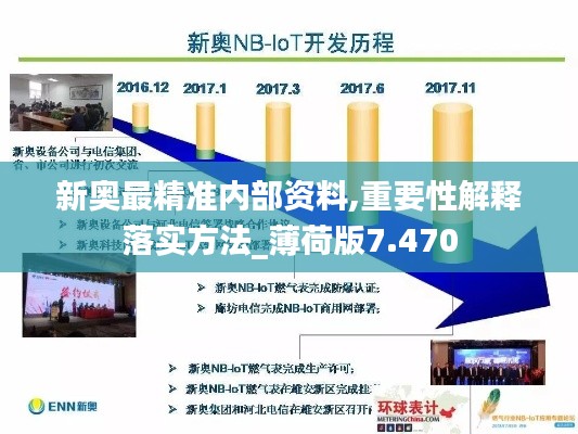 新奥最精准内部资料,重要性解释落实方法_薄荷版7.470