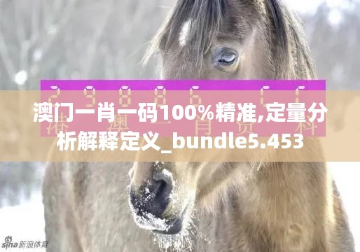 澳门一肖一码100%精准,定量分析解释定义_bundle5.453