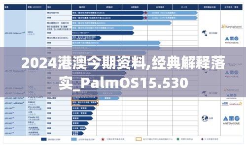 2024港澳今期资料,经典解释落实_PalmOS15.530