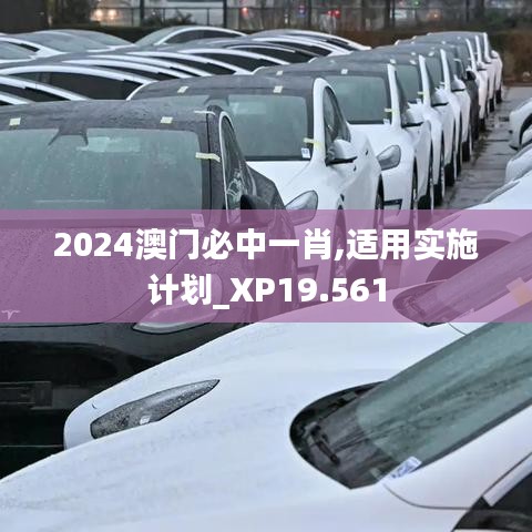 2024澳门必中一肖,适用实施计划_XP19.561