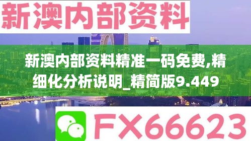 新澳内部资料精准一码免费,精细化分析说明_精简版9.449