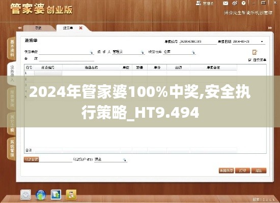 2024年管家婆100%中奖,安全执行策略_HT9.494