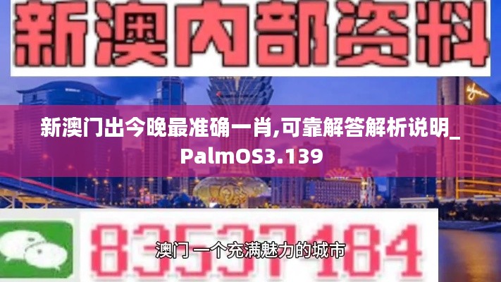 新澳门出今晚最准确一肖,可靠解答解析说明_PalmOS3.139