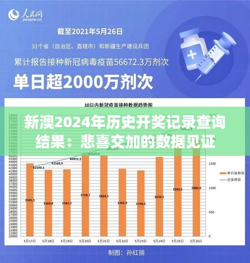 新澳2024年历史开奖记录查询结果：悲喜交加的数据见证