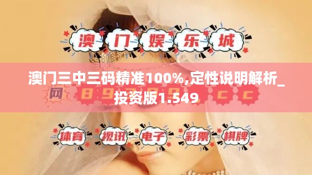 澳门三中三码精准100%,定性说明解析_投资版1.549