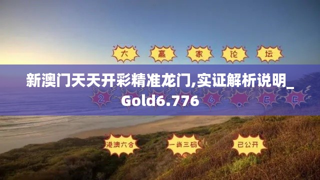 新澳门天天开彩精准龙门,实证解析说明_Gold6.776