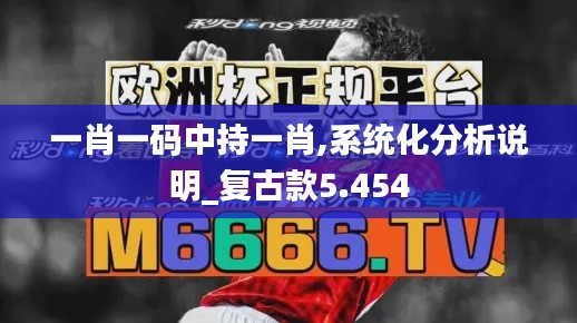 一肖一码中持一肖,系统化分析说明_复古款5.454