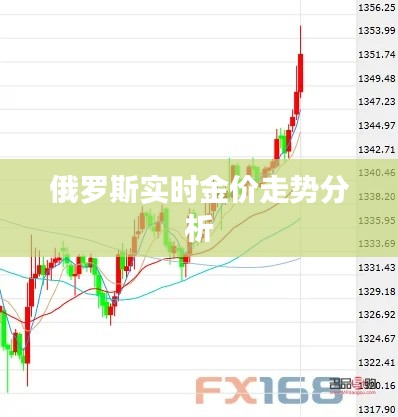 俄罗斯实时金价走势分析