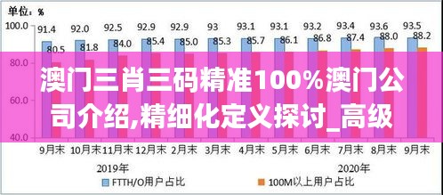 澳门三肖三码精准100%澳门公司介绍,精细化定义探讨_高级款9.795