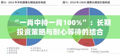 “一肖中持一肖100%”：长期投资策略与耐心等待的结合