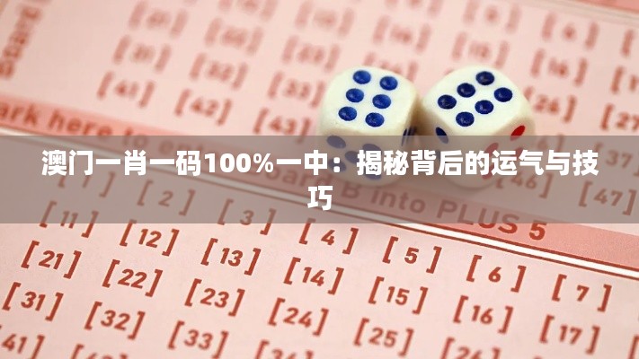 澳门一肖一码100%一中：揭秘背后的运气与技巧