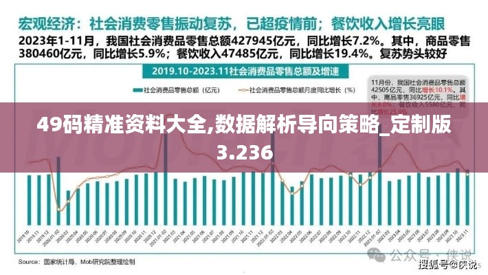 49码精准资料大全,数据解析导向策略_定制版3.236