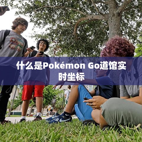 什么是Pokémon Go道馆实时坐标