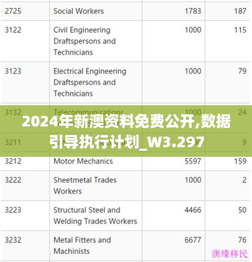 2024年新澳资料免费公开,数据引导执行计划_W3.297