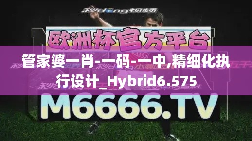 管家婆一肖-一码-一中,精细化执行设计_Hybrid6.575