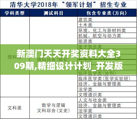 新澳门天天开奖资料大全309期,精细设计计划_开发版6.652