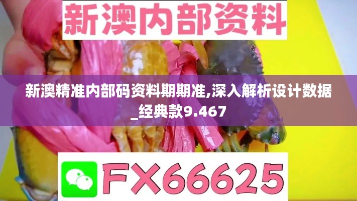 新澳精准内部码资料期期准,深入解析设计数据_经典款9.467