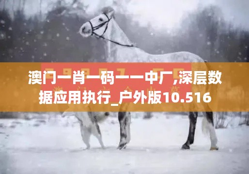 澳门一肖一码一一中厂,深层数据应用执行_户外版10.516