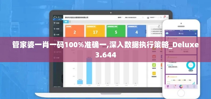 管家婆一肖一码100%准确一,深入数据执行策略_Deluxe3.644