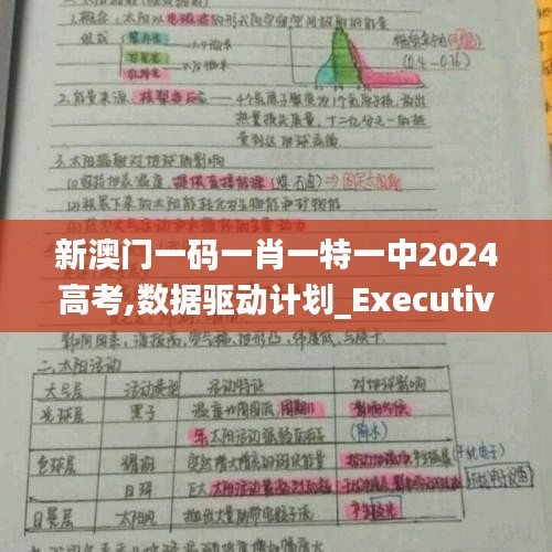 新澳门一码一肖一特一中2024高考,数据驱动计划_Executive10.184