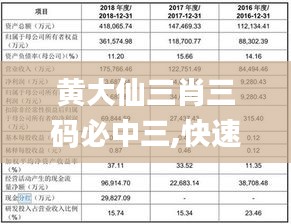 黄大仙三肖三码必中三,快速响应设计解析_尊享款3.620