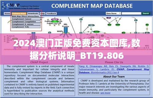 2024澳门正版免费资本图库,数据分析说明_BT19.806