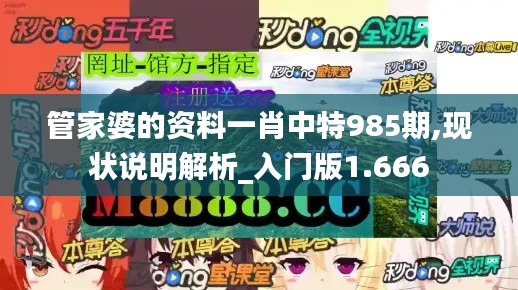 管家婆的资料一肖中特985期,现状说明解析_入门版1.666