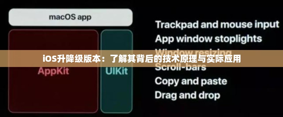 iOS升降级版本：了解其背后的技术原理与实际应用