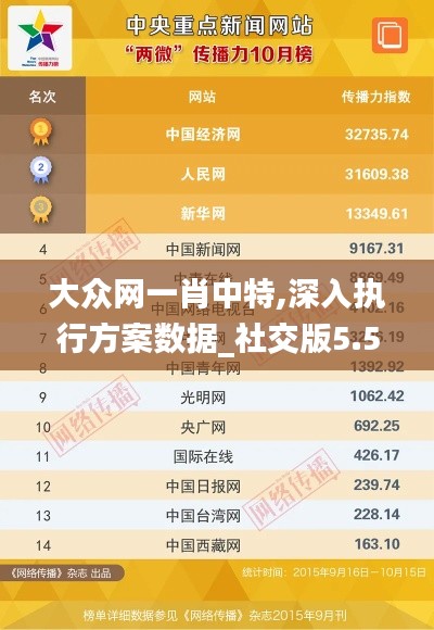 大众网一肖中特,深入执行方案数据_社交版5.565