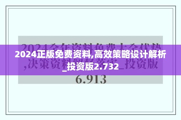 2024正版免费资料,高效策略设计解析_投资版2.732