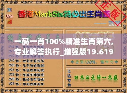 一码一肖100%精准生肖第六,专业解答执行_增强版19.619