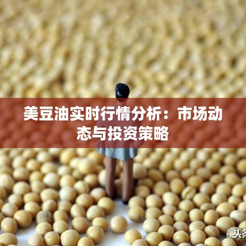 美豆油实时行情分析：市场动态与投资策略