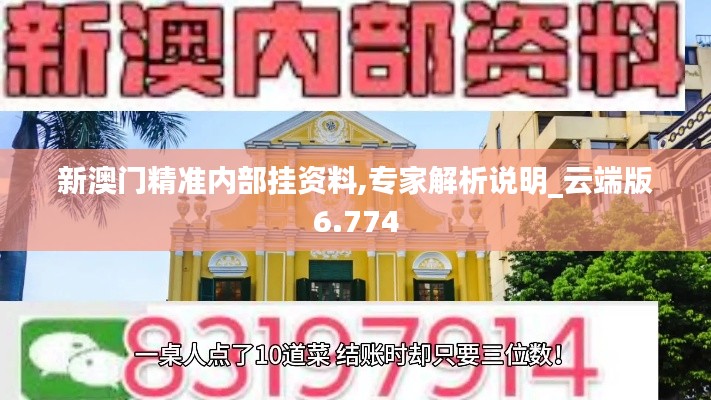 新澳门精准内部挂资料,专家解析说明_云端版6.774