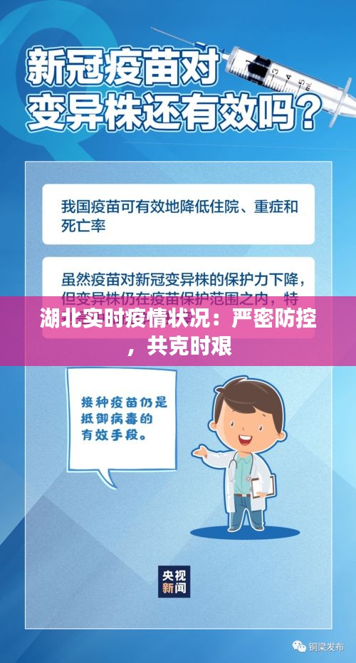 湖北实时疫情状况：严密防控，共克时艰