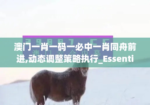 澳门一肖一码一必中一肖同舟前进,动态调整策略执行_Essential5.895