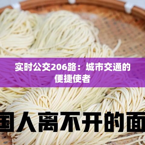 实时公交206路：城市交通的便捷使者