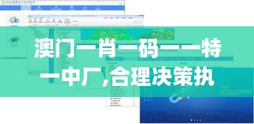 澳门一肖一码一一特一中厂,合理决策执行审查_模拟版8.206