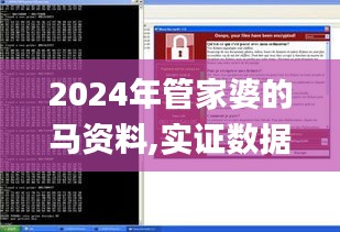 2024年管家婆的马资料,实证数据解析说明_XP5.105