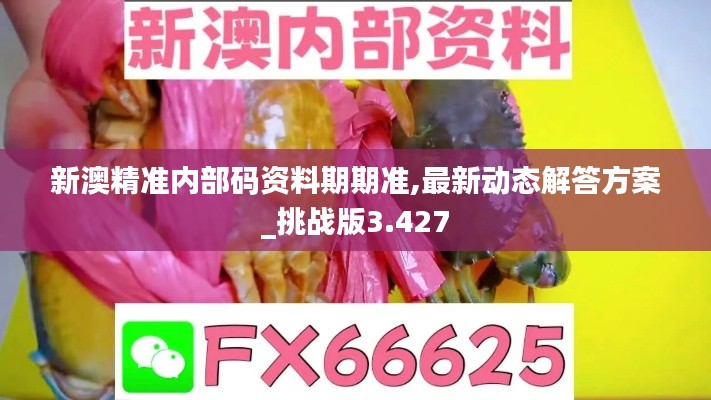 新澳精准内部码资料期期准,最新动态解答方案_挑战版3.427