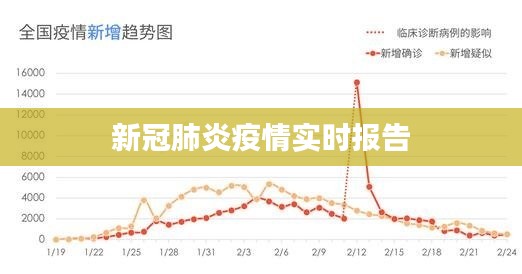 新冠肺炎疫情实时报告