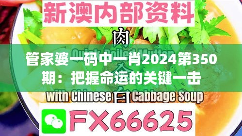 管家婆一码中一肖2024第350期：把握命运的关键一击