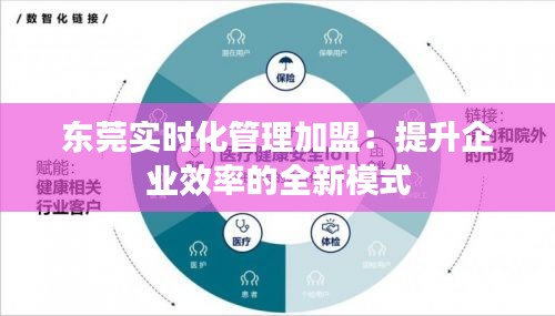 东莞实时化管理加盟：提升企业效率的全新模式