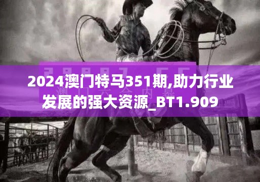 2024澳门特马351期,助力行业发展的强大资源_BT1.909