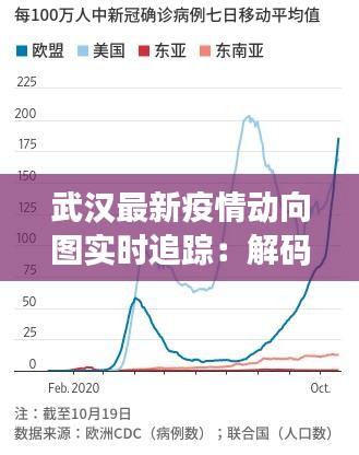 武汉最新疫情动向图实时追踪：解码病毒传播态势