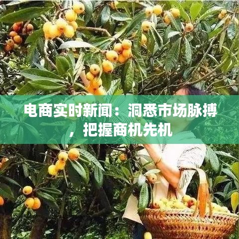 电商实时新闻：洞悉市场脉搏，把握商机先机