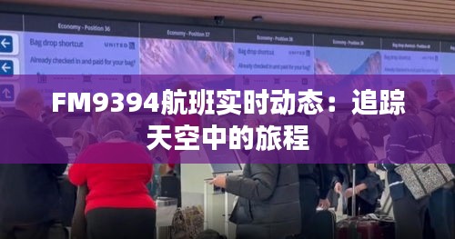 FM9394航班实时动态：追踪天空中的旅程